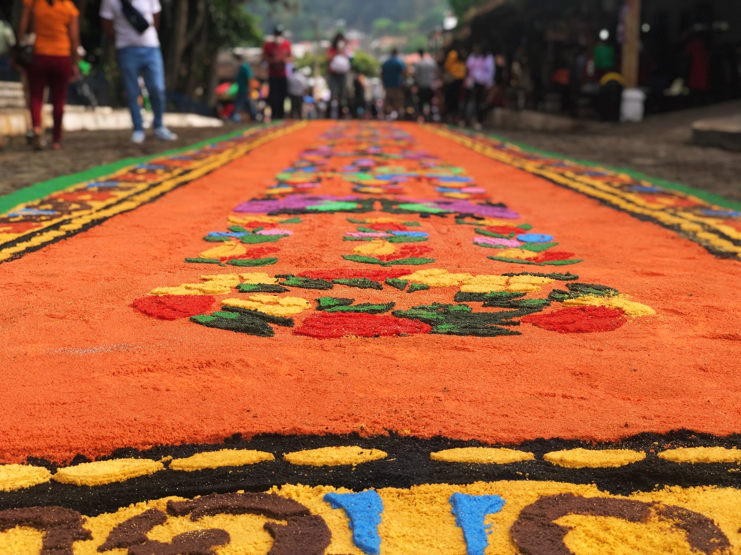 489476766_18072704608862344_8518843806643154486_n