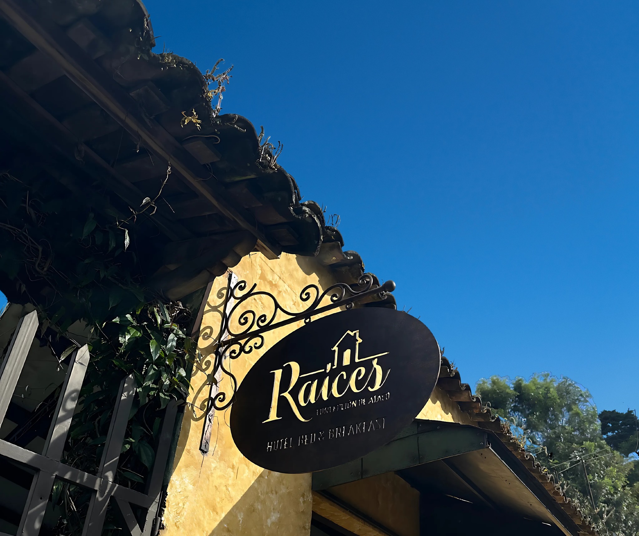 493327627_1255919889872151_6972197795575296074_n