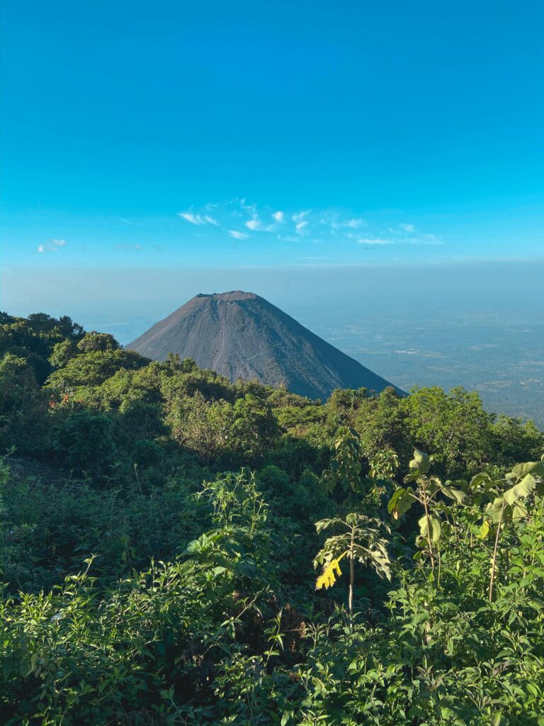 Stunning view of a mountain peak surrounded by lush forest under a clear blue sky.